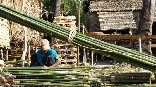 WHY BAMBOO?