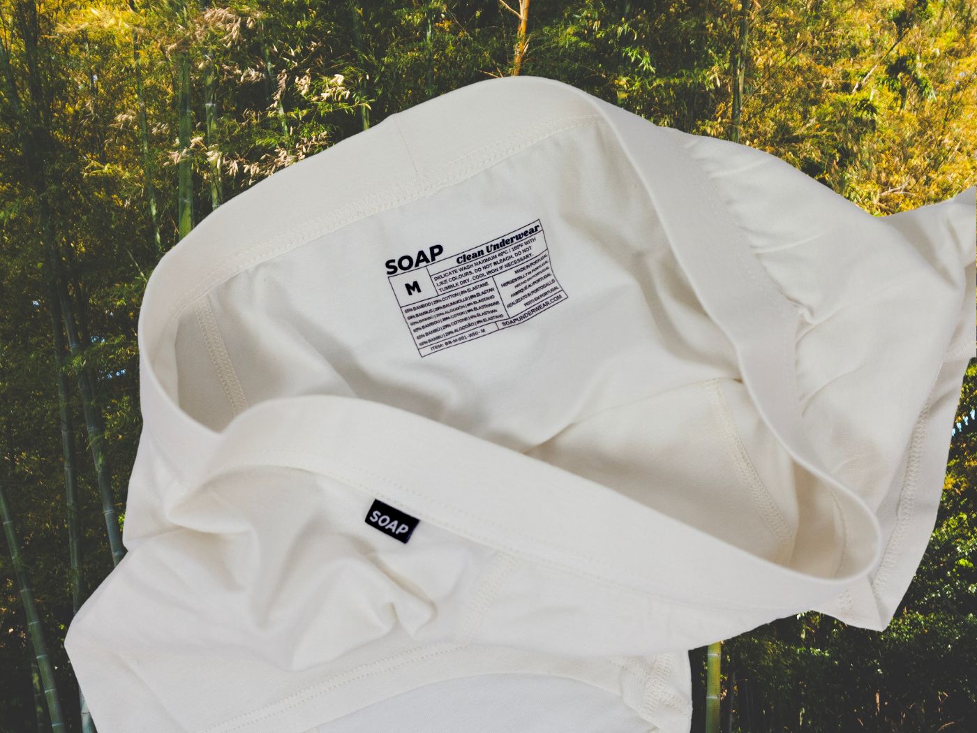 Coconut Milk – Individual Trunk