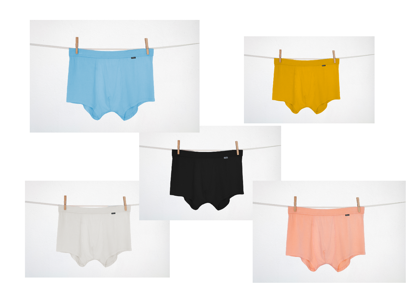 The Full Palette – 5 Pack
